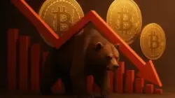 Bear Market Crypto: Pengertian, Penyebab, dan Strategi Menghadapinya!